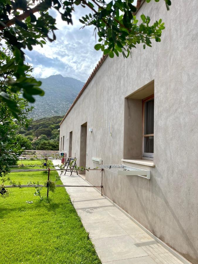 Alelca Domo Bed & Breakfast Buggerru Luaran gambar